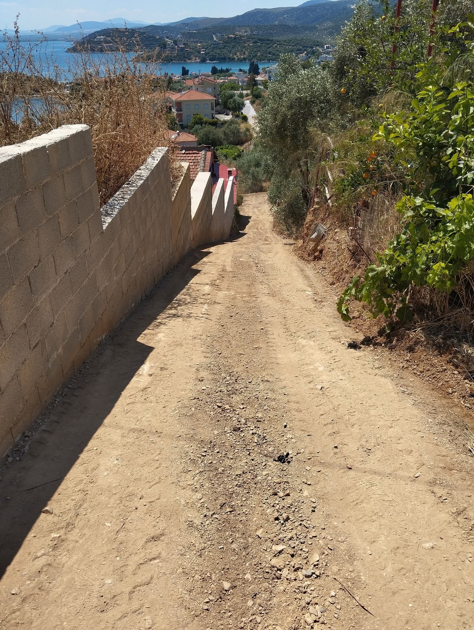 EPIXOSEISFB_IMG_1769163324213