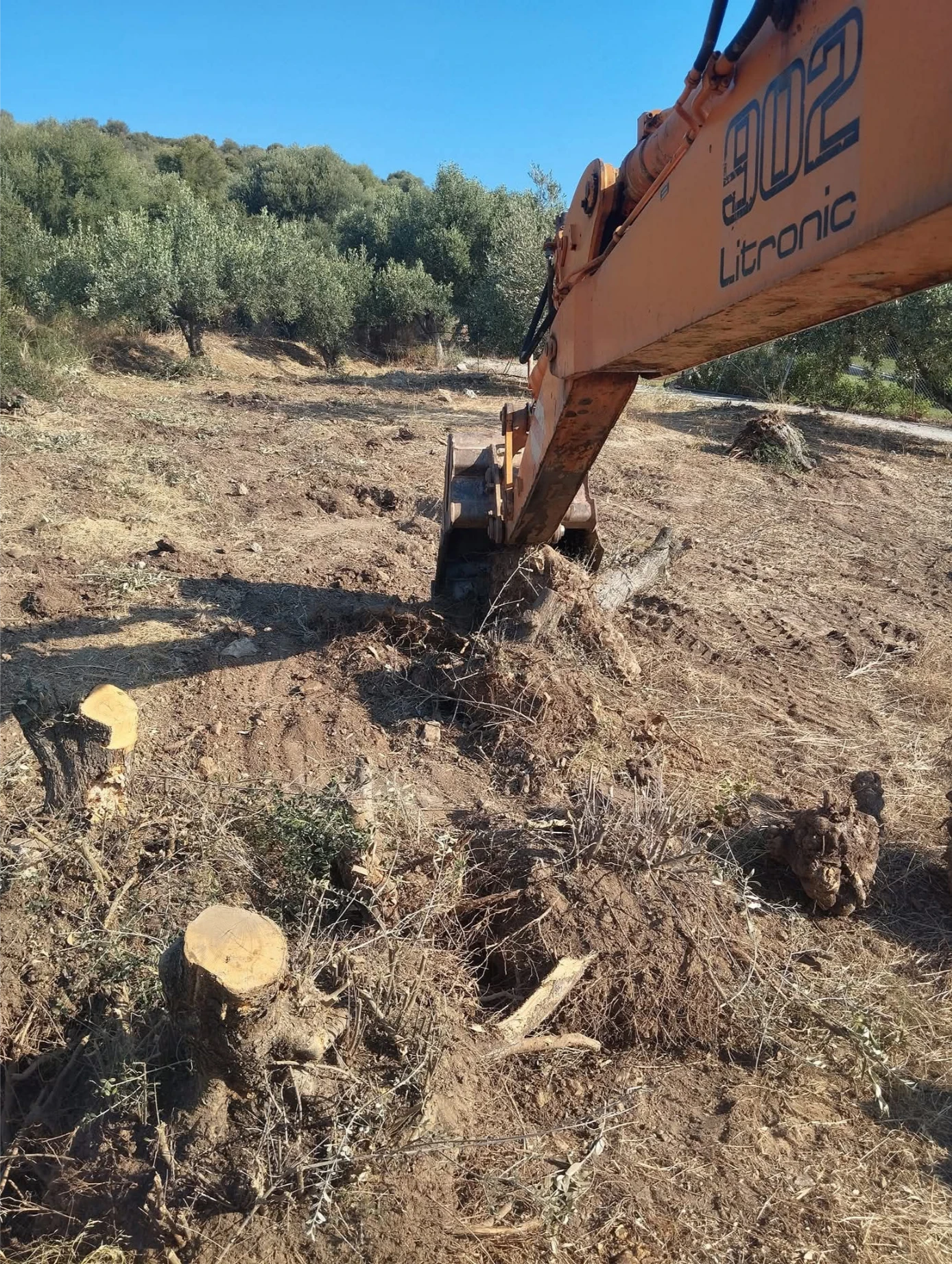 FB_IMG_1769162978612