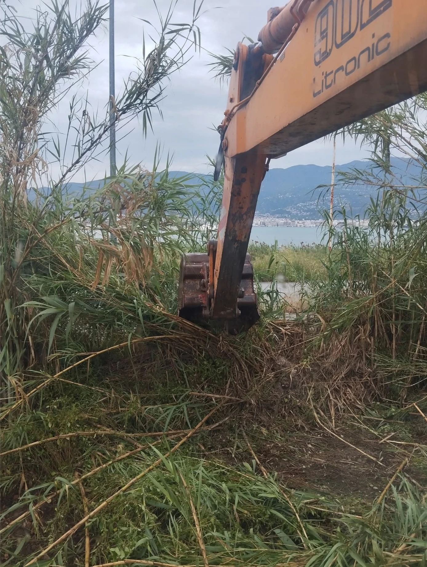 FB_IMG_1769163206113