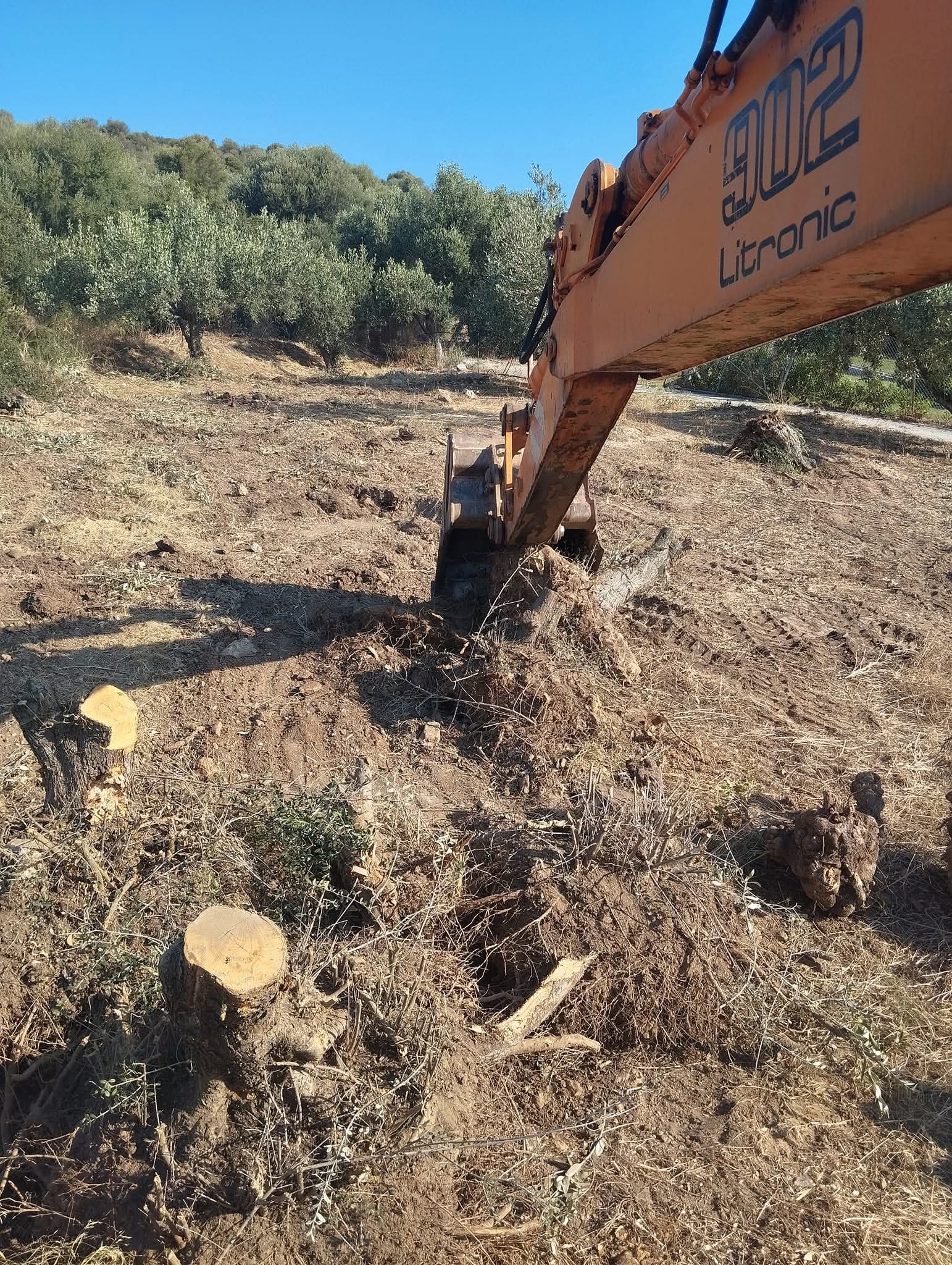 OIKOPEDAFB_IMG_1769162978612