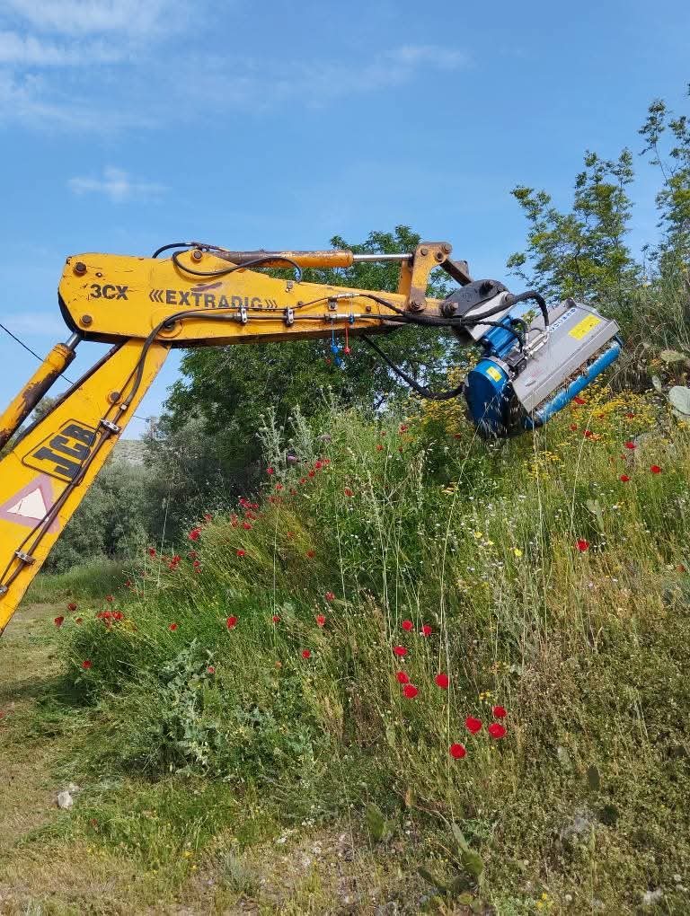 OIKOPEDAFB_IMG_1769163163105