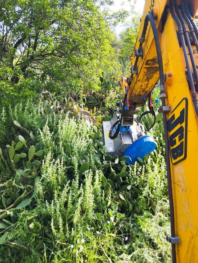 OIKOPEDAFB_IMG_1769163173396