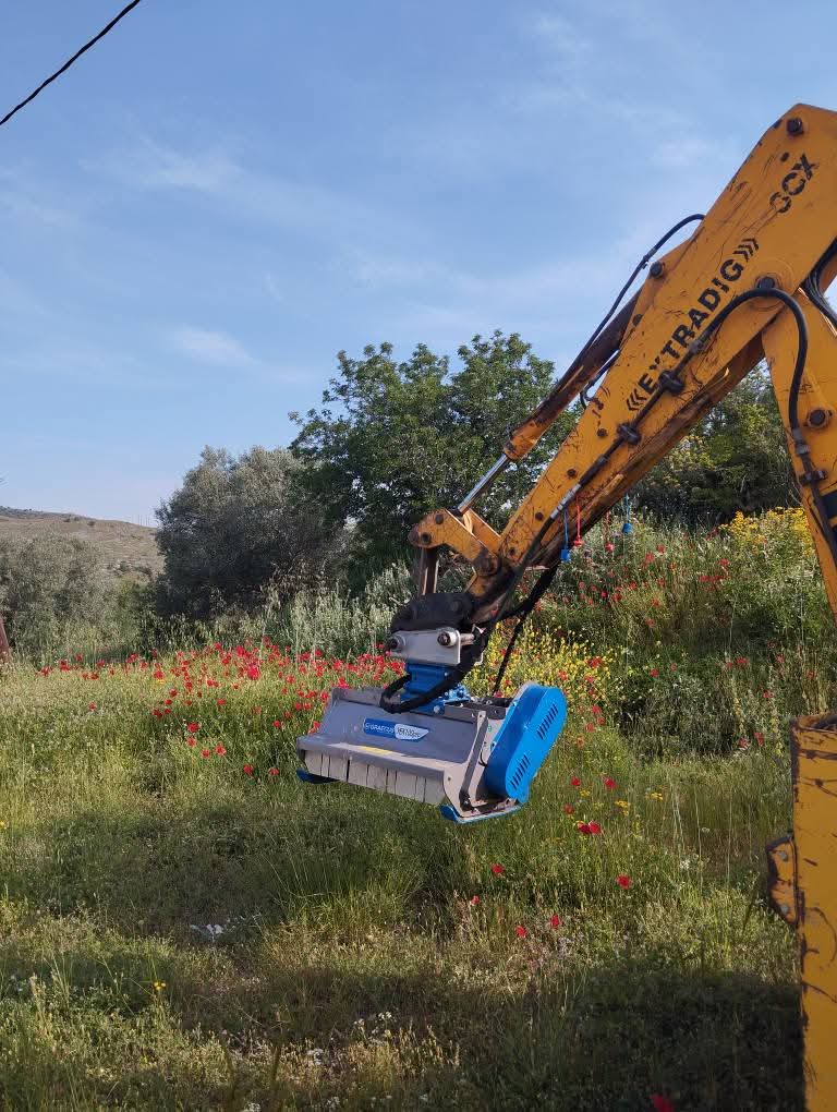 OIKOPEDAFB_IMG_1769163178425