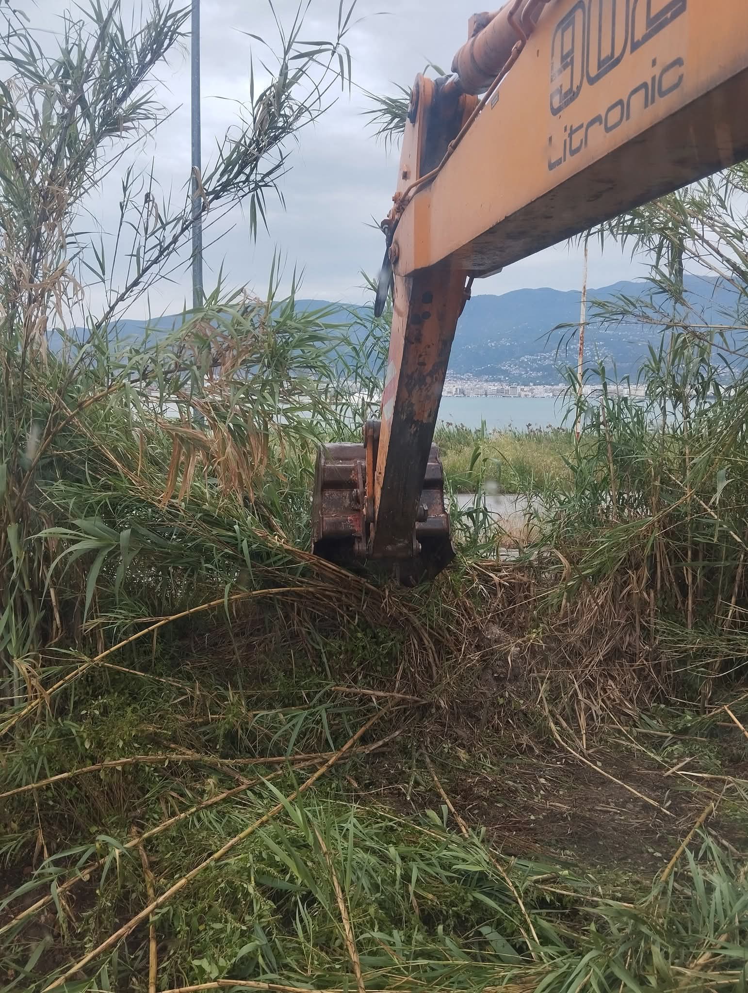 OIKOPEDAFB_IMG_1769163206113