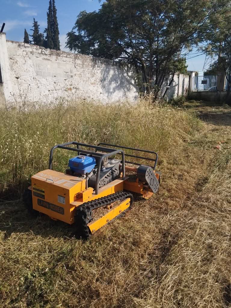 OIKOPEDAFB_IMG_1769163248321