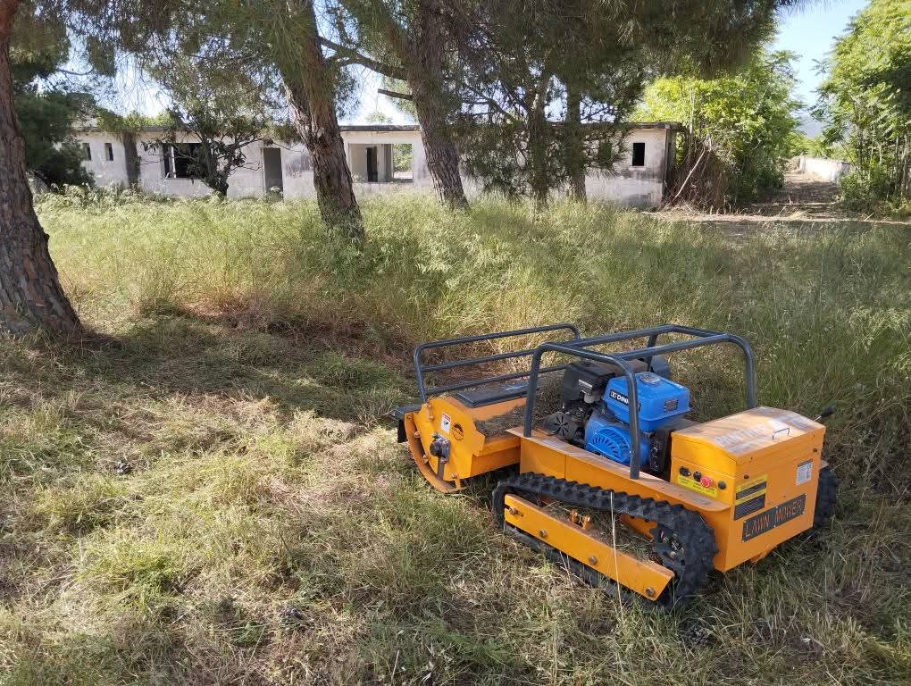 OIKOPEDAFB_IMG_1769163254639