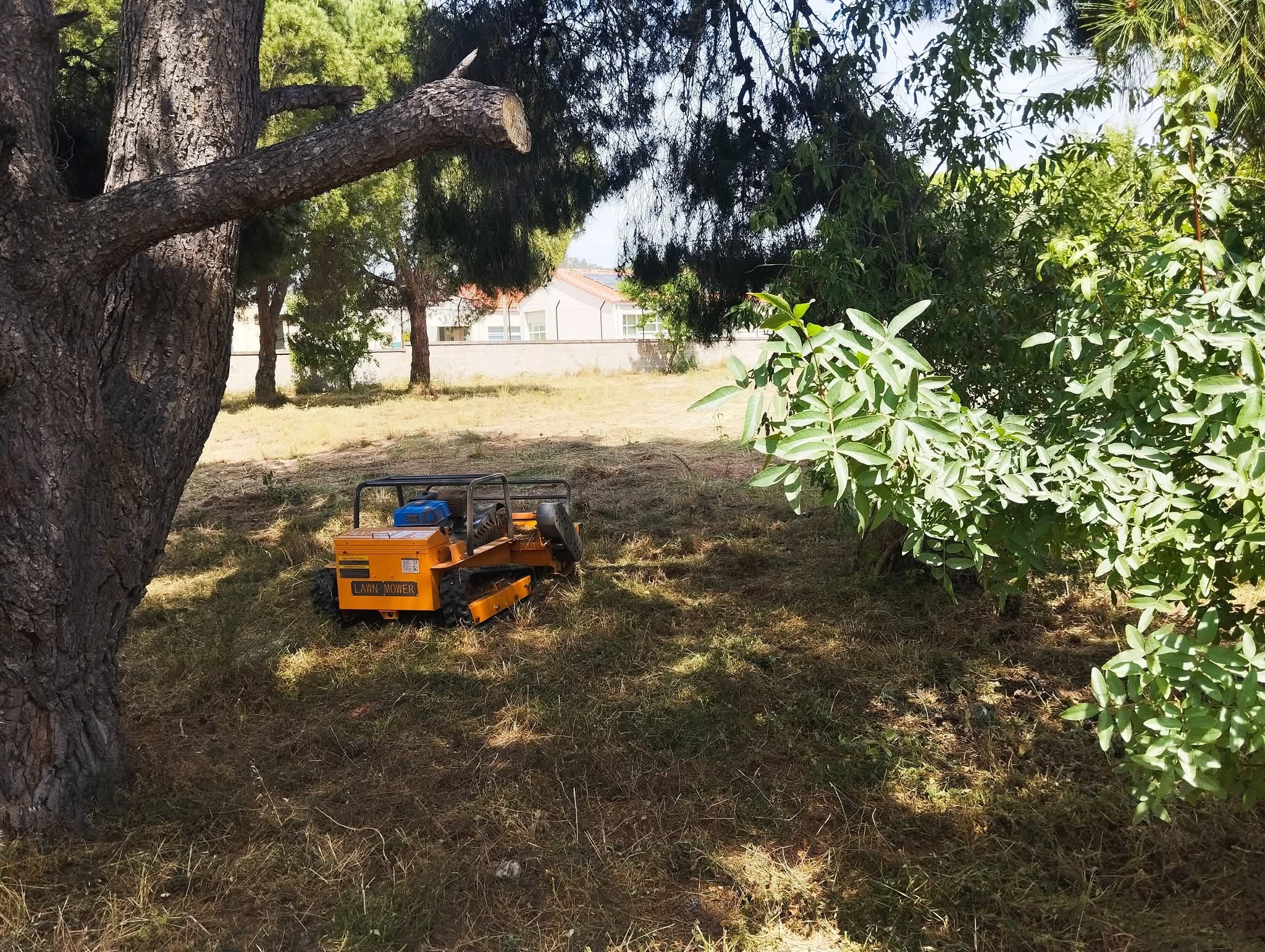 OIKOPEDAFB_IMG_1769163261264