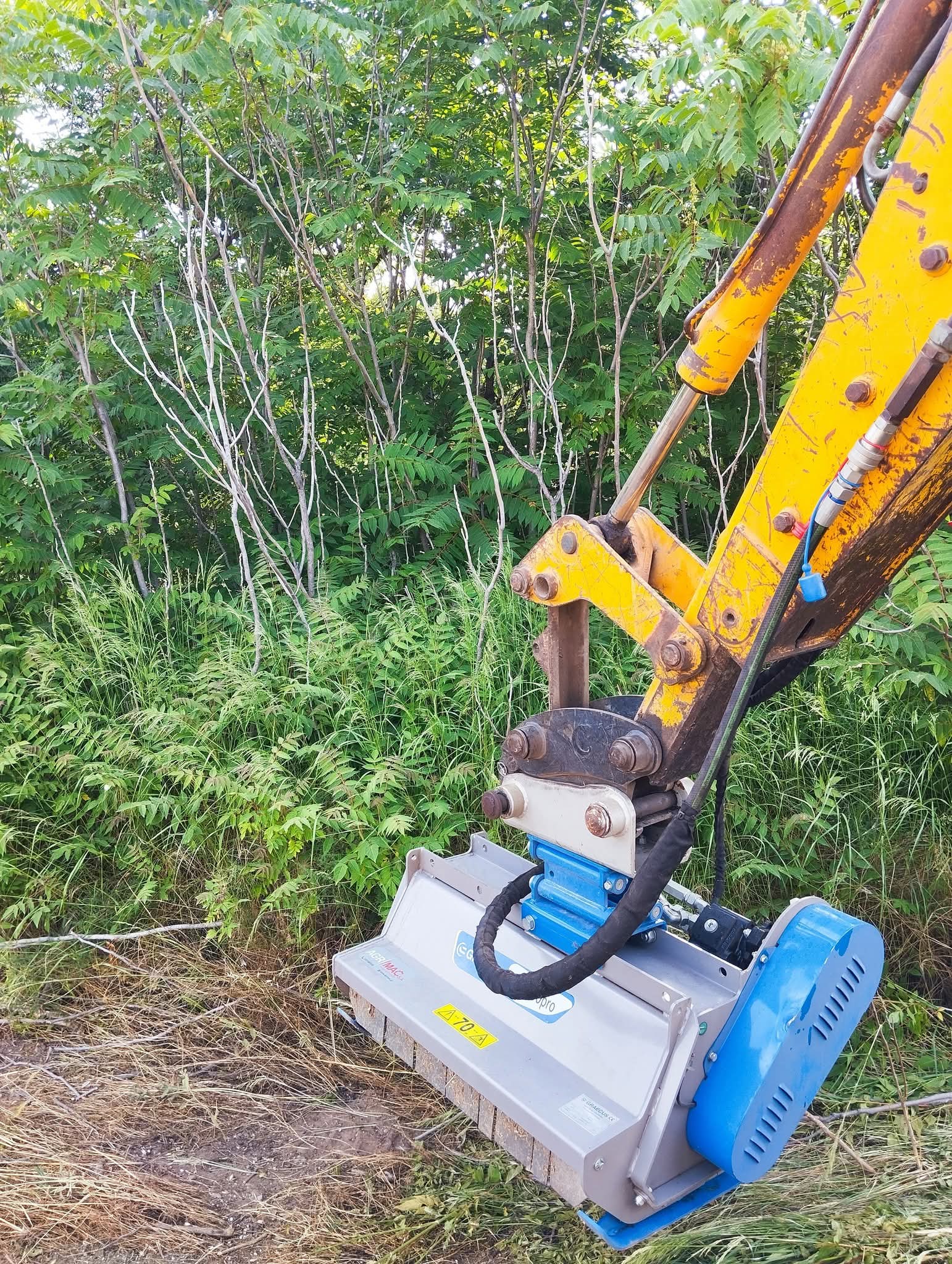 OIKOPEDAFB_IMG_1769163286168