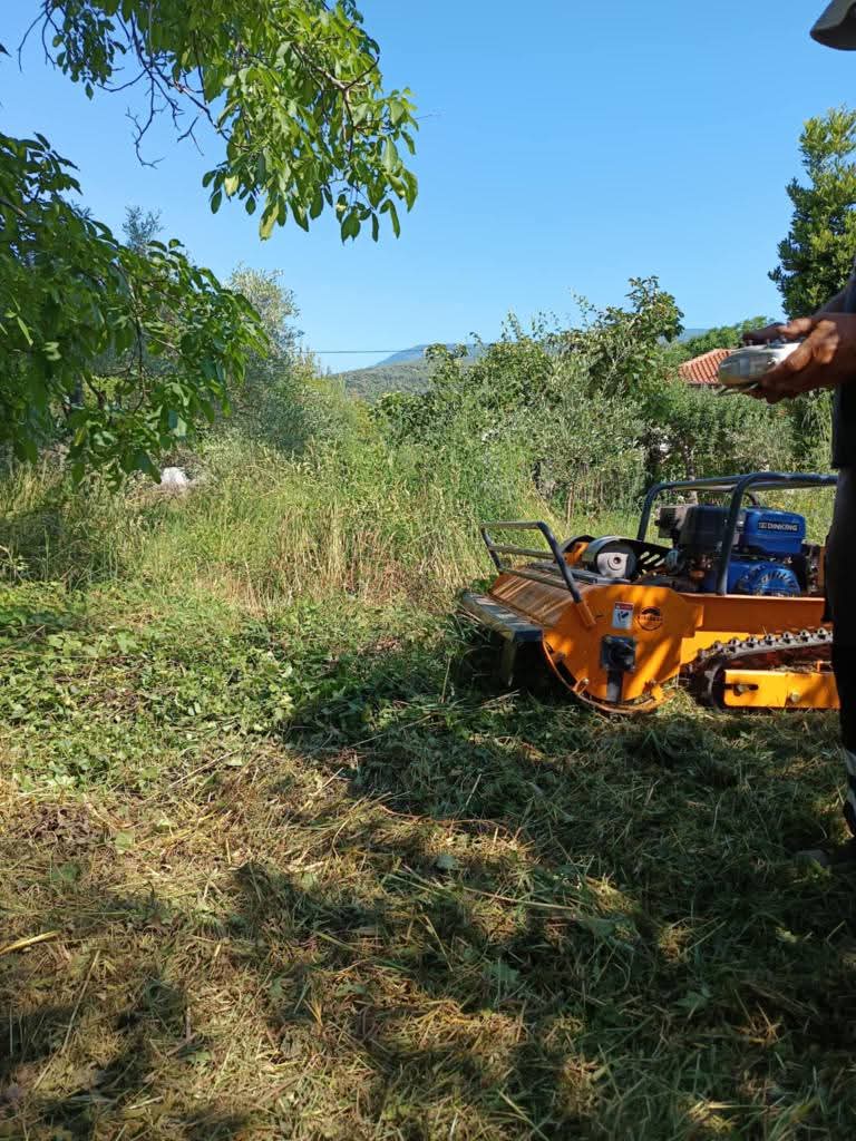 OIKOPEDAFB_IMG_1769163911220