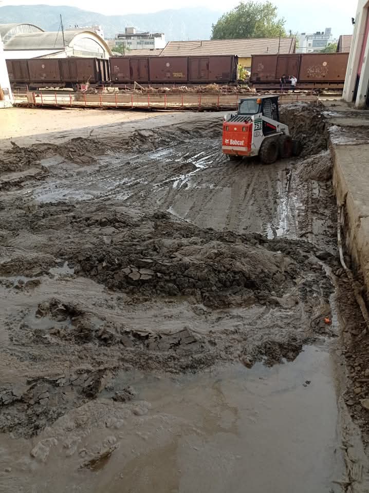 mpazoFB_IMG_1769162810666