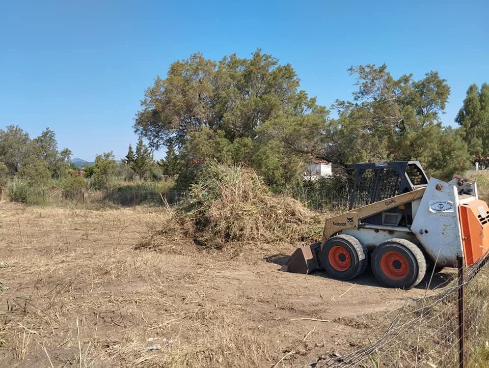 mpazoFB_IMG_1769162988282